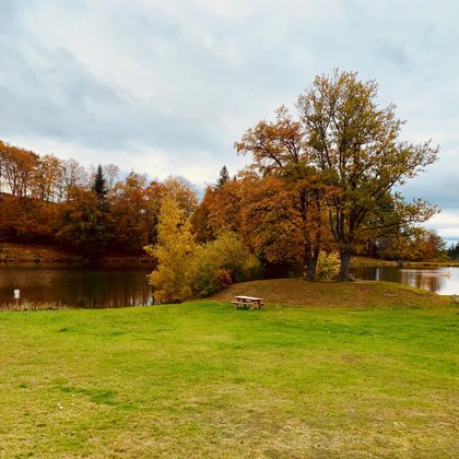 Plan d'eau l'automne