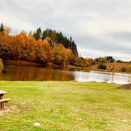 Plan d'eau l'automne