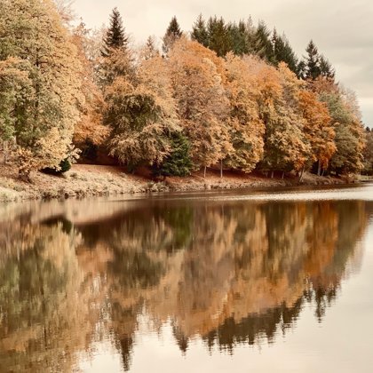 Plan d'eau l'automne