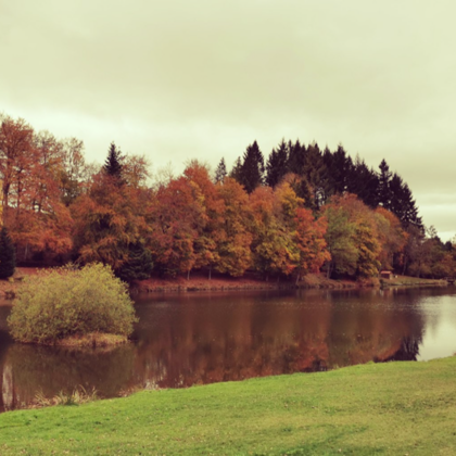 Plan d'eau l'automne
