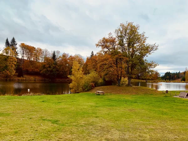 Plan d'eau l'automne