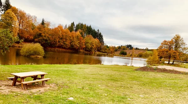 Plan d'eau l'automne