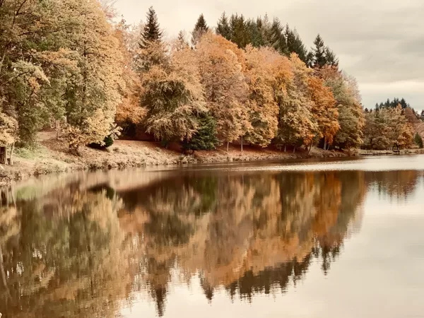 Plan d'eau l'automne