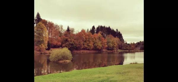 Plan d'eau l'automne