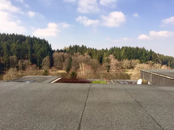 Vue de la terrasse